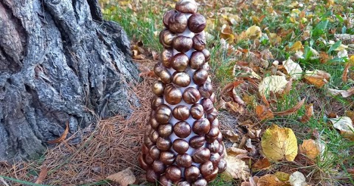 DIY Stromeček z kaštanů | podzimní dekorace