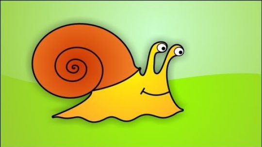 How to draw a Snail in Corel Draw (no comment)
