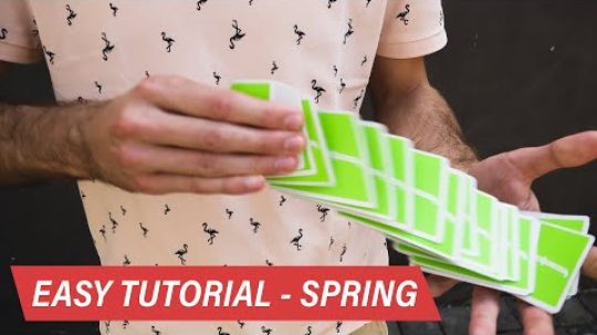 Spring – Cardistry tutorial pro začátečníky | FYFT.cz