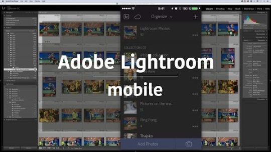 Úprava fotek v Adobe Photoshop Lightroom