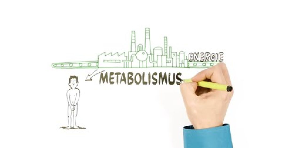 Metabolismus – o přeměně látek – NEZkreslená věda III