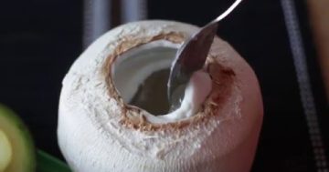 Kokosové želé v kokosu