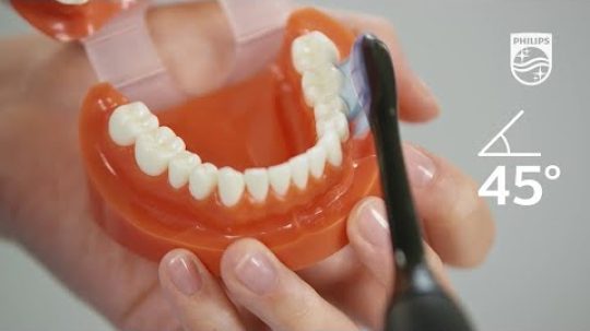 Nezapomínejte čistit kromě zubů i dásně