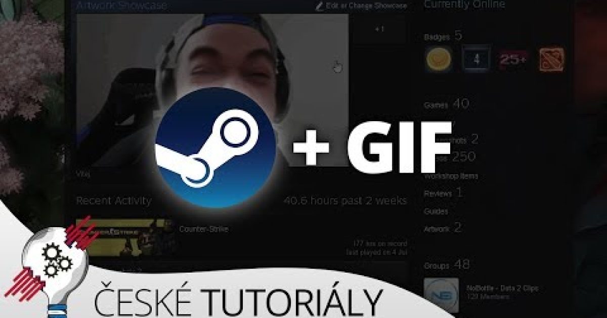 Jak si nahrát GIF na svůj Steam profil