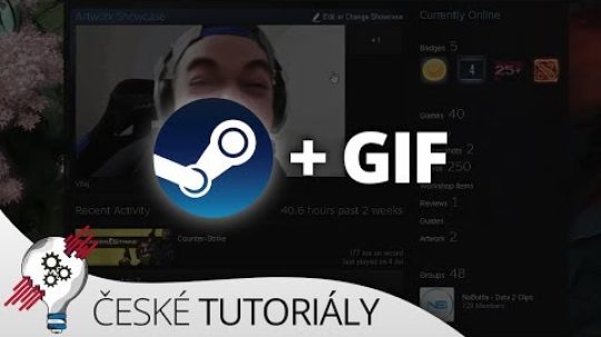 Jak si nahrát GIF na svůj Steam profil
