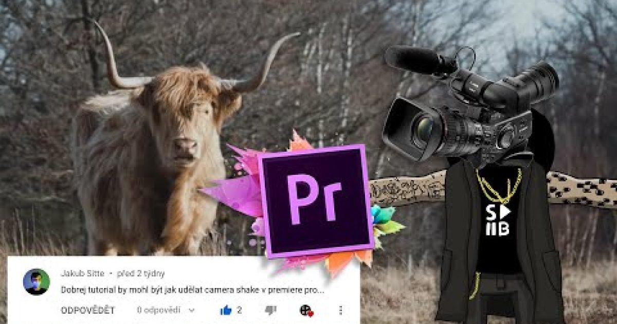 Kamera Shake v Adobe Premiere