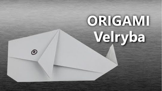 Origami Velryba | Jak vyrobit velrybu z papíru