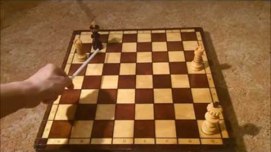 Šachové koncovky – mat dvěma věžemi