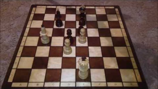 Jak hrát šachy 9 – jak končí hra